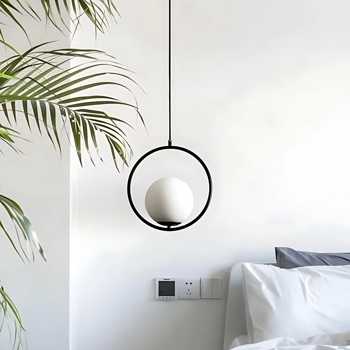 Haus Collection